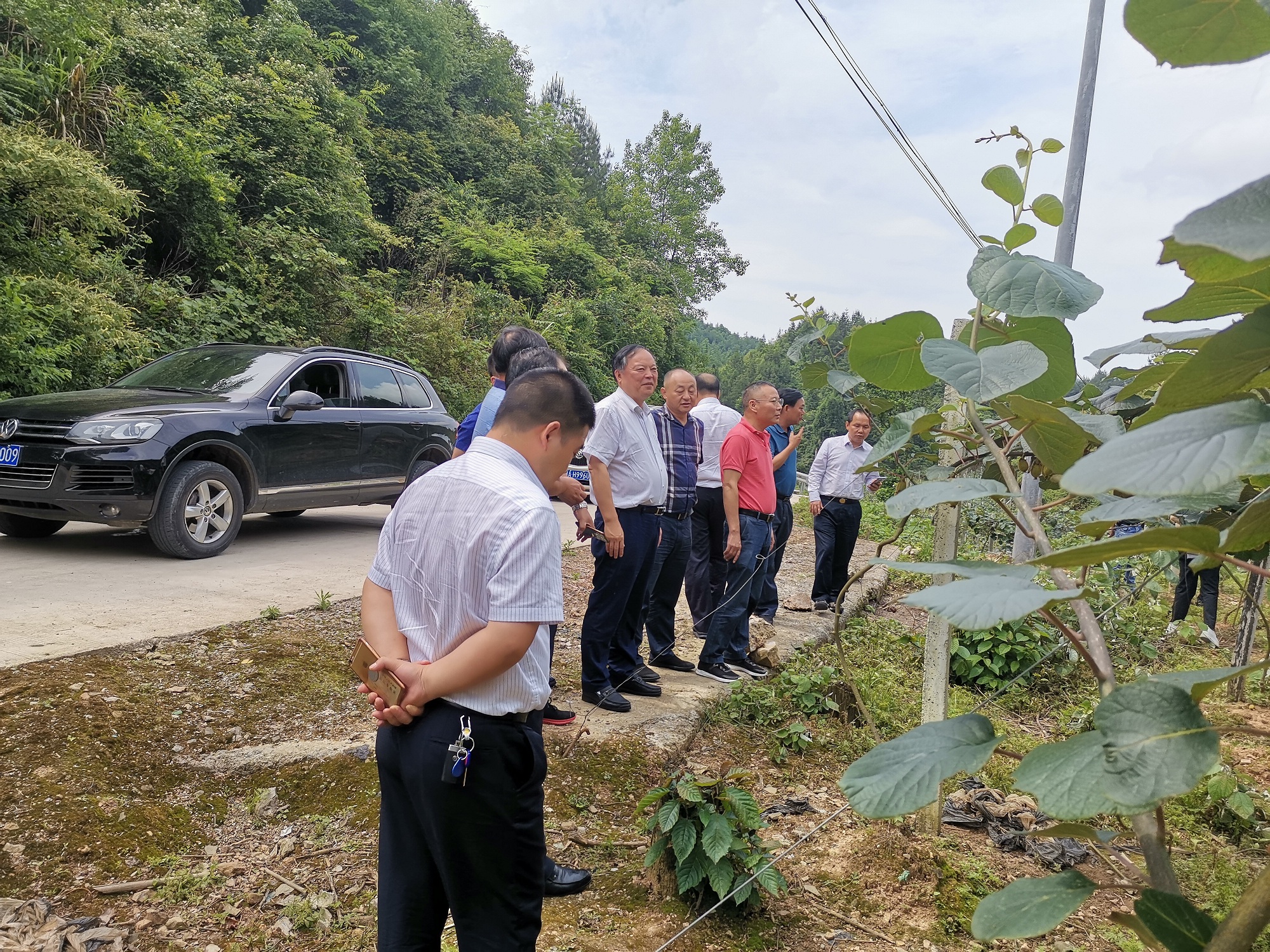 20200619115333.jpg 微信圖片_20200616221738.jpg