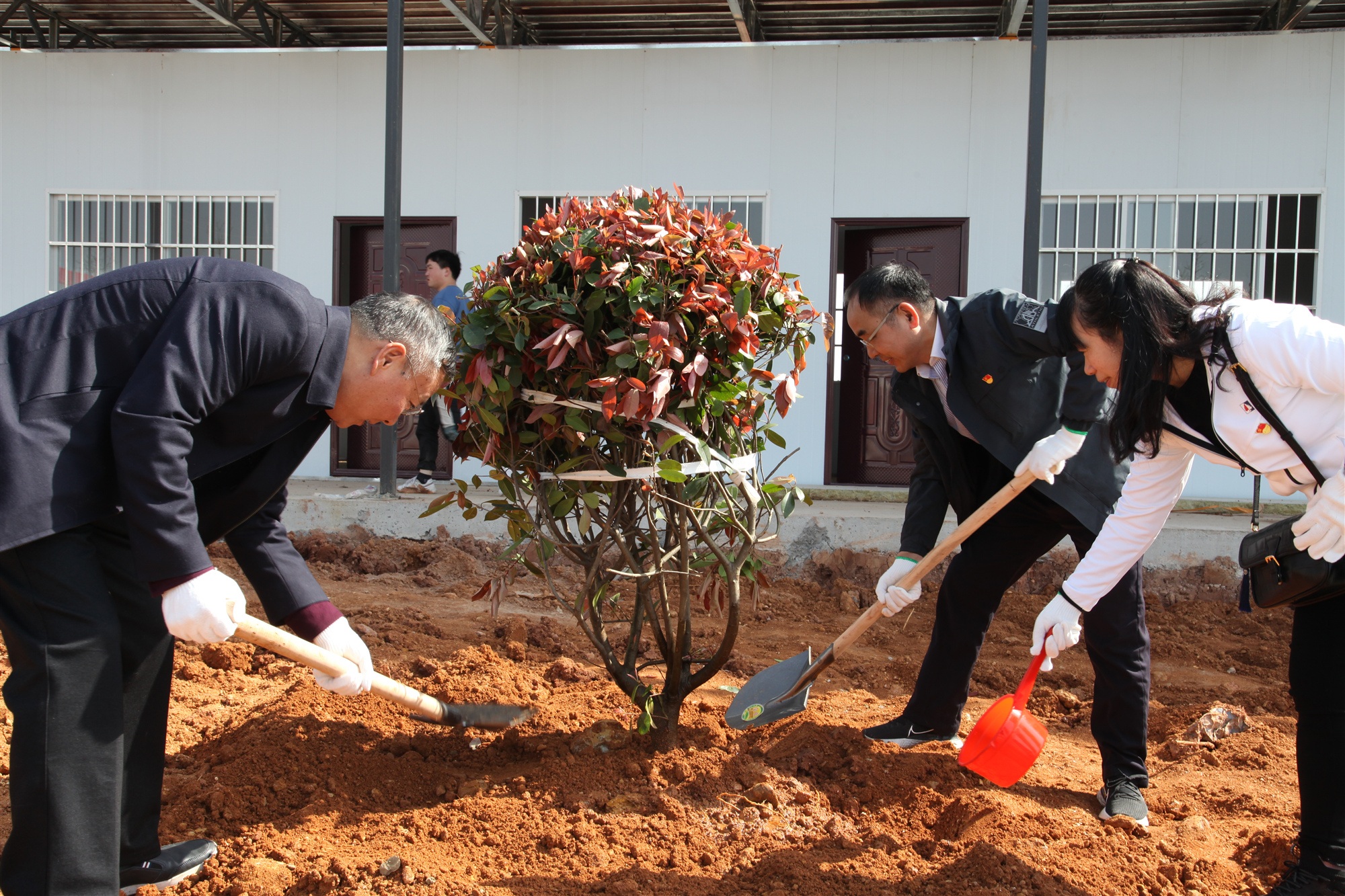 20210406962922.jpg 3.jpg