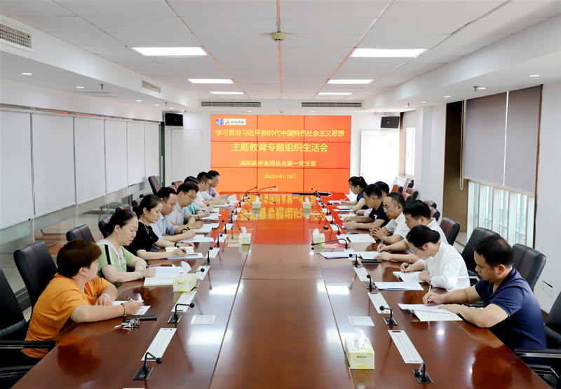 20230918345846.jpg 王術(shù)飛參加專題組織生活會(huì)__副本.jpg